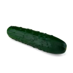 Cucumber (French)