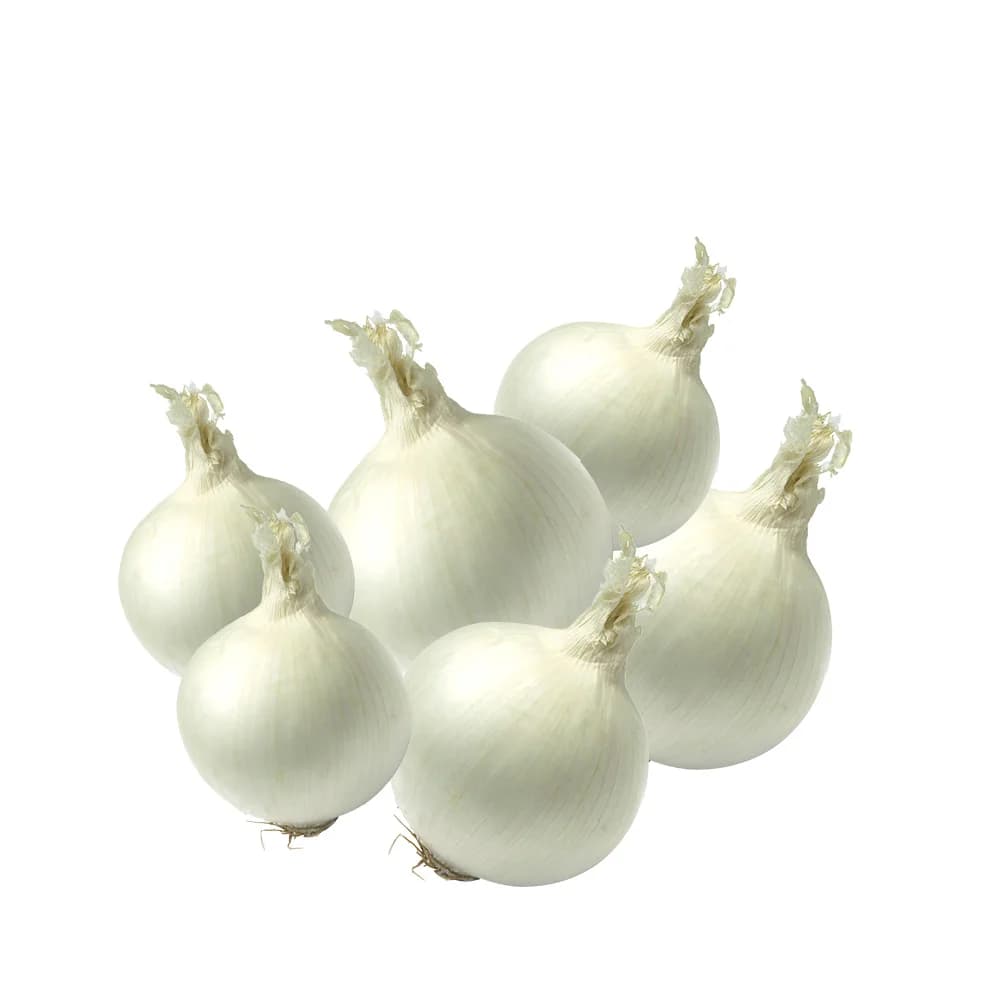 White Onions