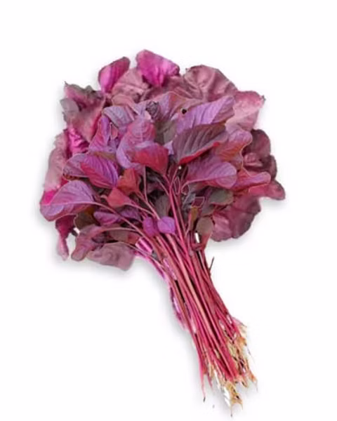 Red Amaranthus / Kempu Dhantu Bunch