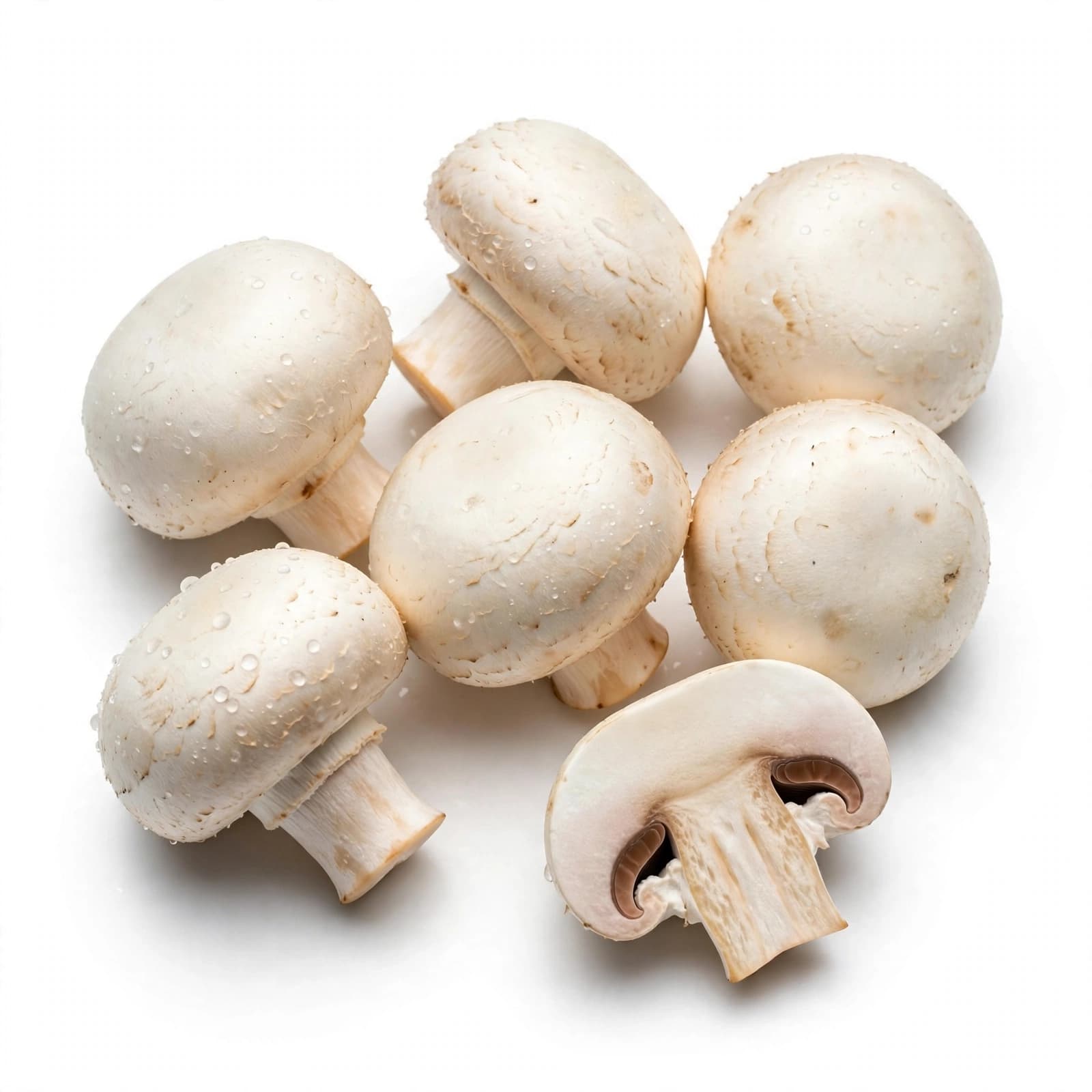 Button Mushroom