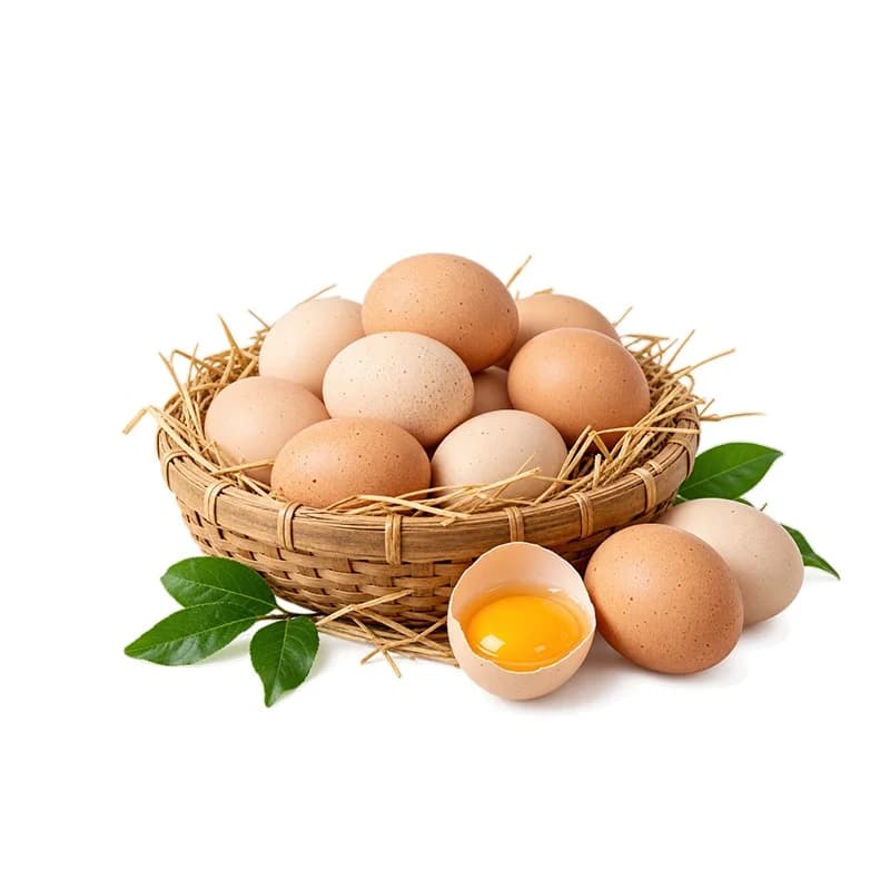 Brown Eggs