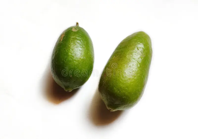 Gandhraj Lemon