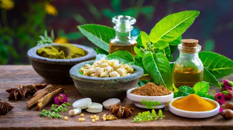 Ayurveda & Wellness